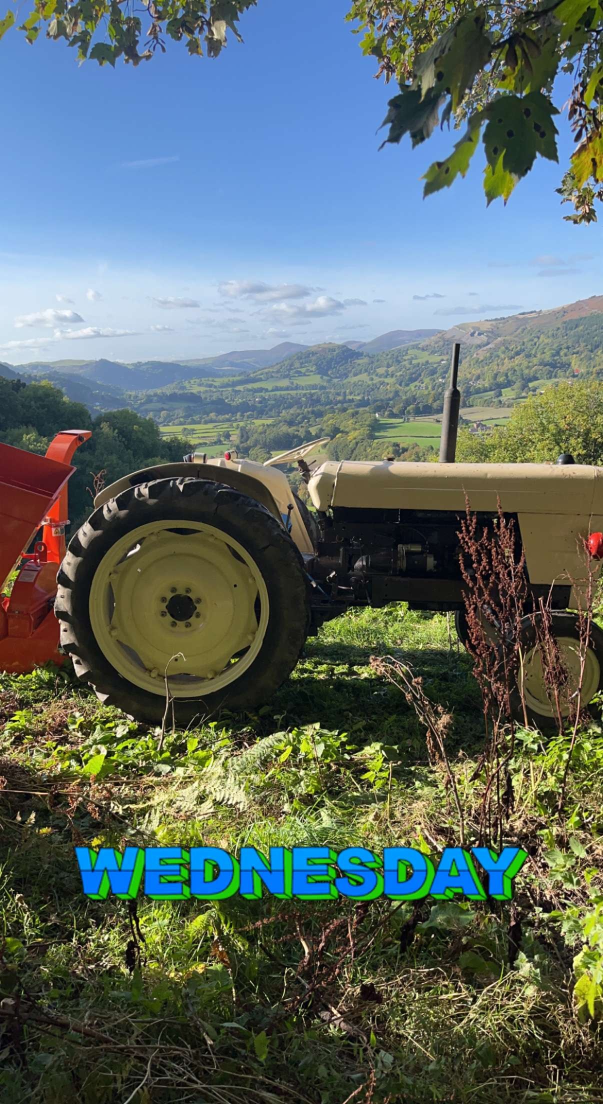 Dee Valley Tree Maintenance team at work